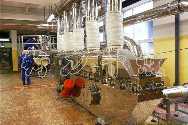  ZLG系列振动流化床干燥机 